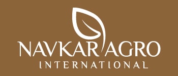 Navkar Agro International - Oil Seeds and Spices Supplier from India