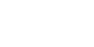 Navkar Agro International - Oil Seeds and Spices Supplier from India